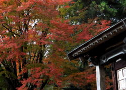 紅葉と山王権現堂