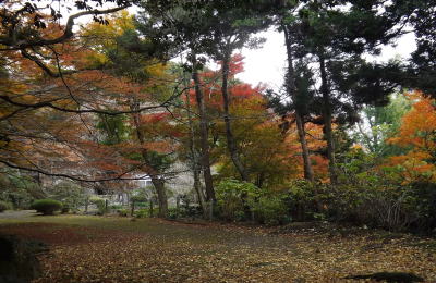 桜 山 南原寺 紅葉