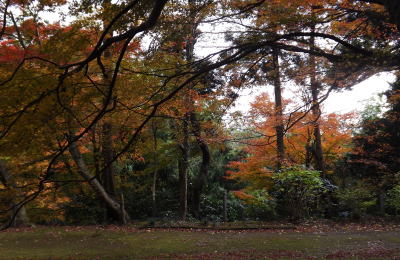 紅葉 南原寺